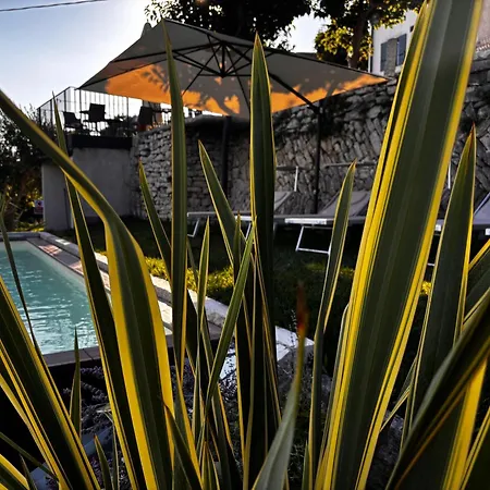 Conca D Oro Apartment *
